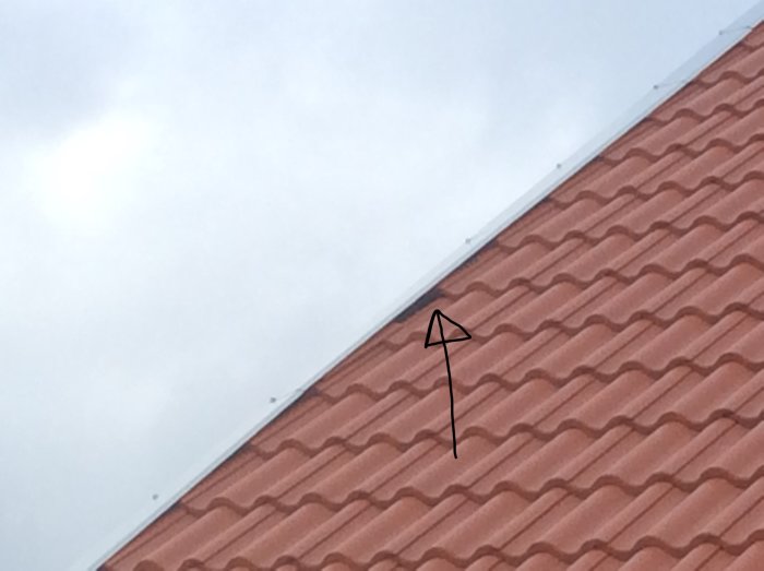 Röd takpannor på nytt tak med markerad halvcylindrisk detalj vid vindskyddet.