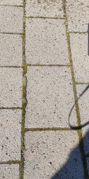 Marksten belagd med mossa i fogarna, behöver rensning.