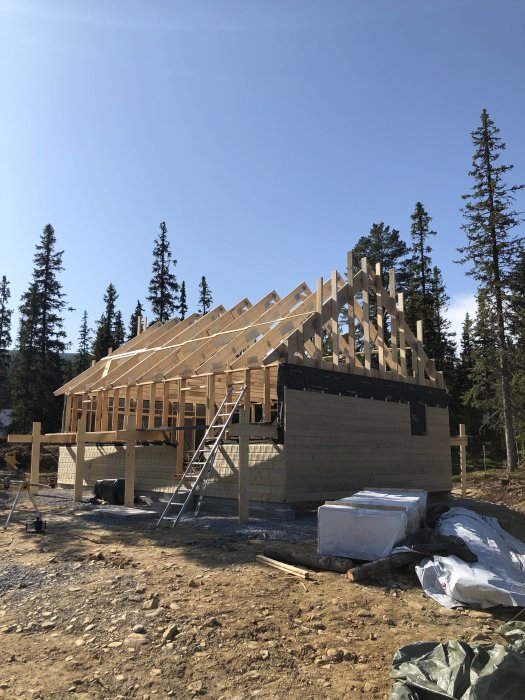 En nybyggd stuga under konstruktion med trästomme och takstolar synliga, omgiven av skog och byggmaterial på marken.