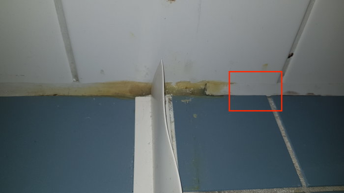 Gammalt gulnat silikon längs en väggkant och golv i ett badrum med misstänkt mögelskada.