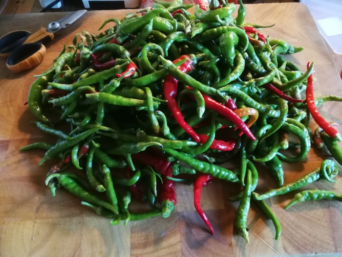 Skördad grön och röd cayennechili på en träskärbräda med en sax i bakgrunden.