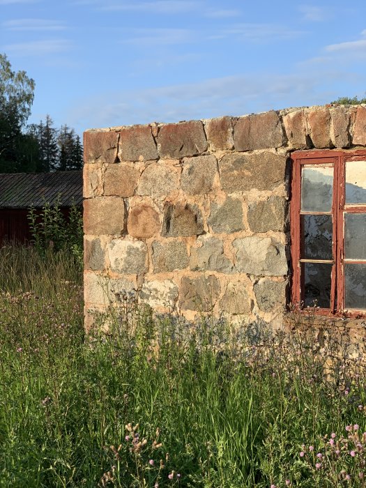 Del av en ladugårdsvägg med synligt murbruk och stenar av olika storlekar, intill ett fönster med röd karm.