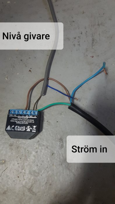 Elkoppling av nivågivare med blå och bruna kablar kopplade till en svart reläenhet.
