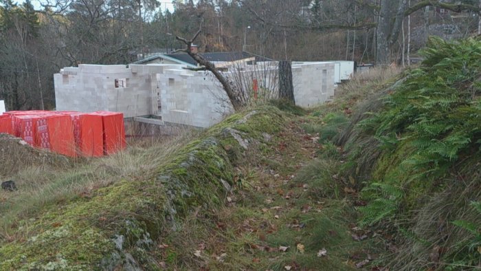 Murade väggar av en byggnad i ett skogsmiljö med uppstaplade fönsterbalkar i förgrunden.