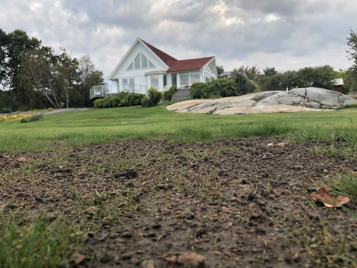 Nysådd gräsmatta med sparsam gräs­tillväxt framför ett vitt hus med veranda.