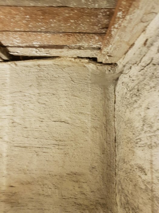20190417_175459.jpg