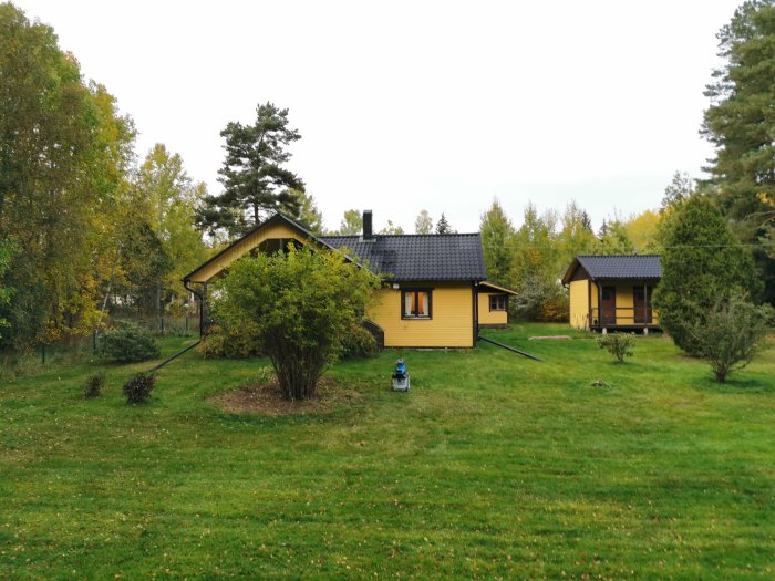 Gulmålat hus delvis dolt bakom nyligen beskuren stor buske med höstlandskap i bakgrunden.