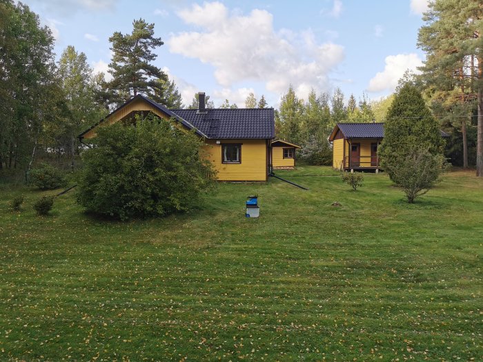 Trädgård med beskurna buskar framför en gul stuga och förrådsbyggnad i höstlandskap.