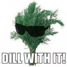 Dillkruka med solglasögon och texten "DILL WITH IT!" som ordlek.