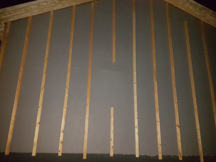 20191003_210634.jpg