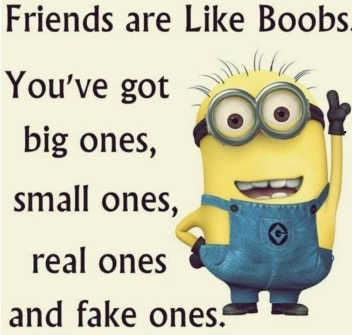 Illustration av en Minion med texten "Friends are like Boobs" och jämförelser mellan olika typer av vänner.