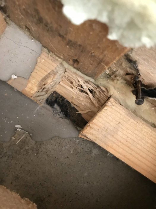 Skadad syll med tecken på fuktskada och mögel nära betonggolv, bredvid en nyare och ljusare träregel.