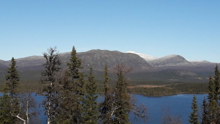 Utsikt över en klarblå sjö med berg i bakgrunden och barrträd i förgrunden under en solig himmel.