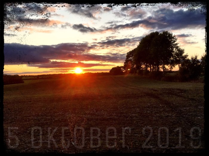 Solnedgång över ett öppet fält med träd i silhuett och datumet 5 oktober 2019 synligt.