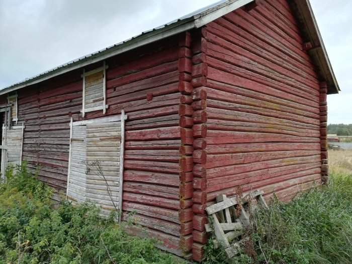 Gammalt rödfärgat timmeruthus med vitmålade fönsterluckor och förfallna delar bland högt gräs.