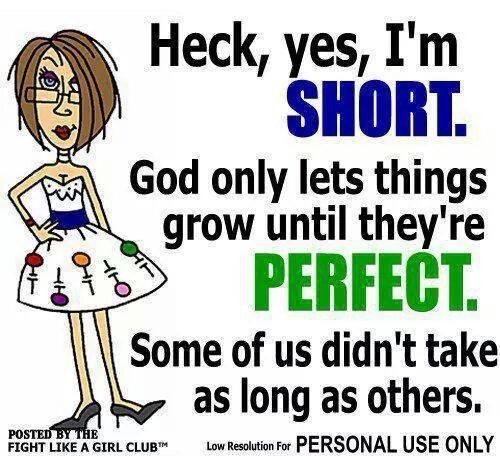 Tecknad bild av en kort kvinna med texten "Heck, yes, I'm SHORT. God only lets things grow until they're PERFECT.