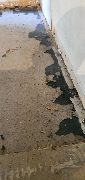 Gammal matta och svart limrester på betonggolv i renoveringsprocess.
