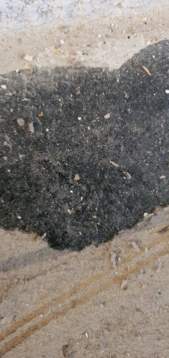 Gammal matta delvis avlägsnad avslöjar svart klet på betonggolv under renovering.