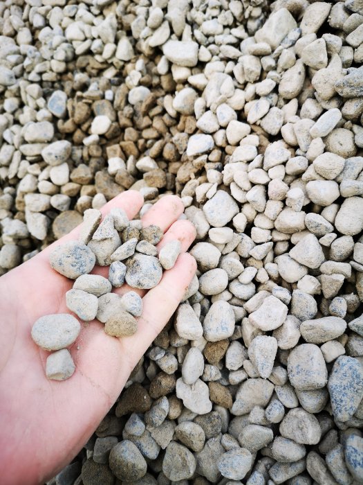 En hand som håller runda och släta grusstenar, misstänkt gårdssingel, framför en hög av liknande stenar.