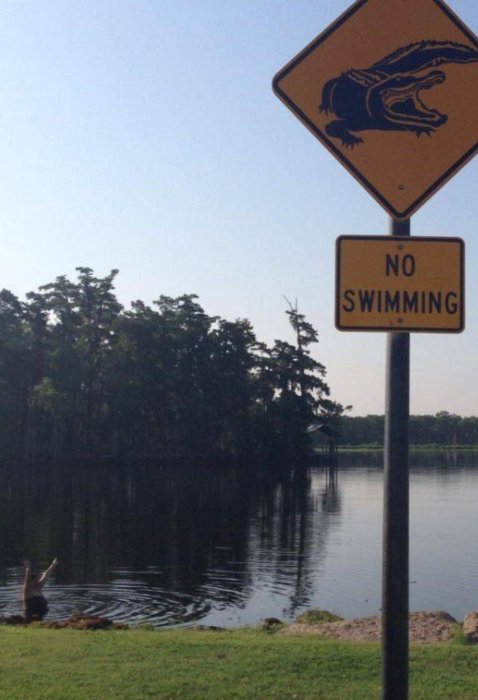 Varningsskylt med krokodil och texten "NO SWIMMING" ovanför en sjö där något simmar.