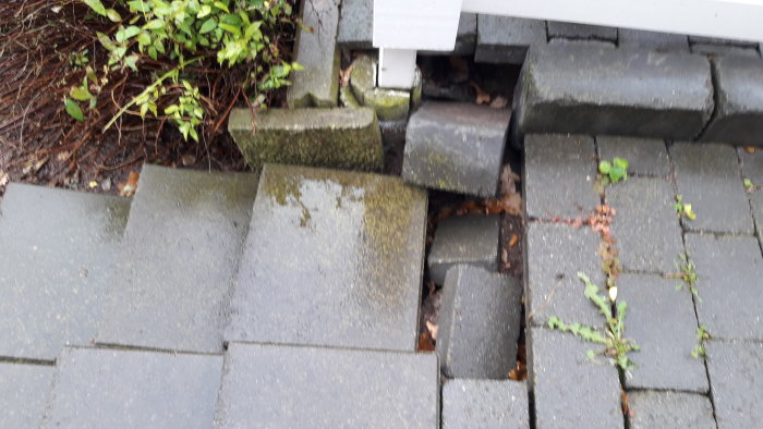 20191011_105414.jpg