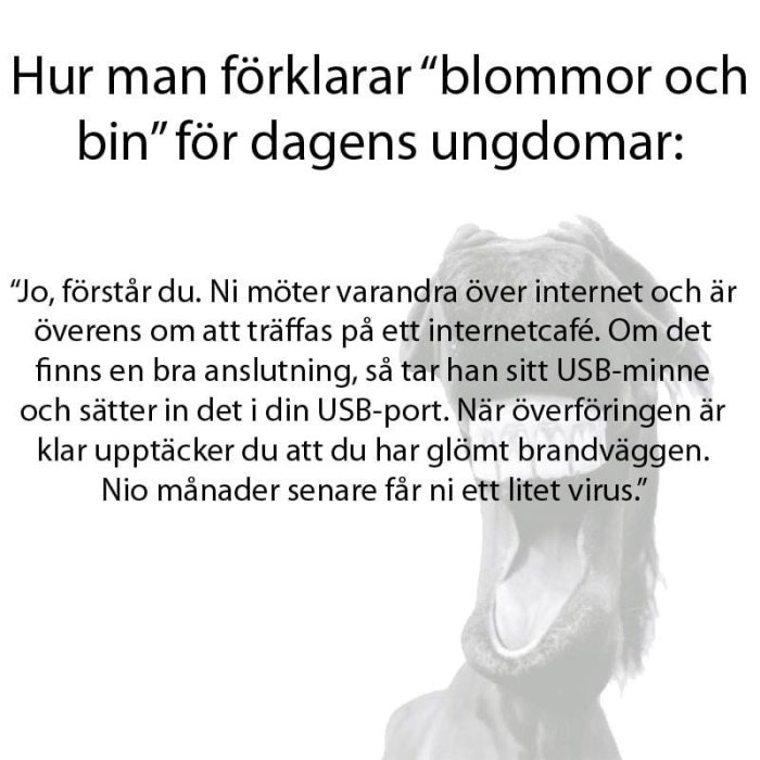 Text på en bild som förklarar "blommor och bin" med teknologi-jargong, överlagrat på en suddig bild av ett får.