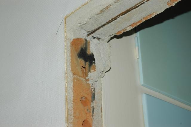 DSC_9100.jpg