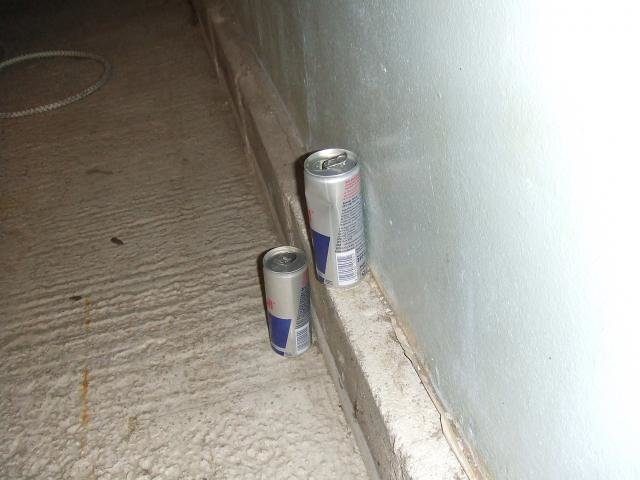 DSCF1342.jpg