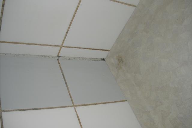 CIMG0383.jpg