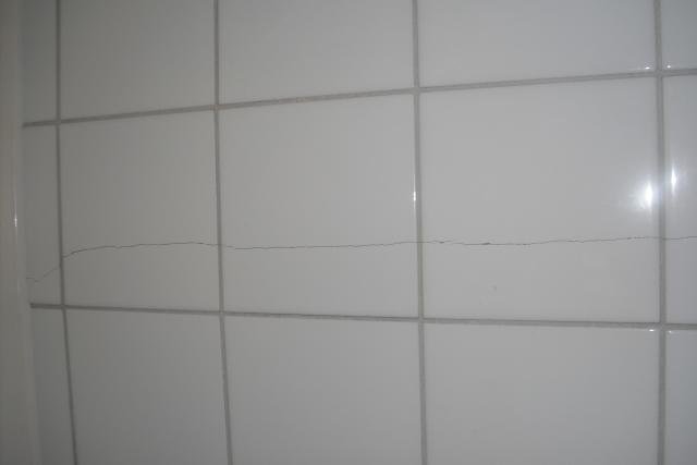 CIMG0381.jpg