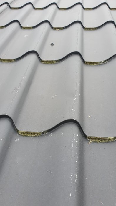 Närbild på takplåt med vågprofil och mossa langs kanten.