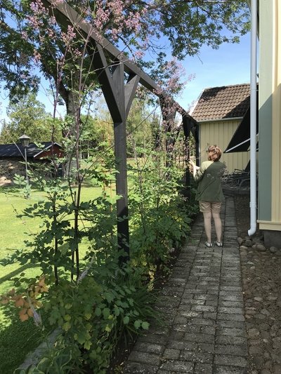 En person som bygger en pergola längs en stig bredvid sitt hus, med stolpar fästa i plintar och omgiven av växter.