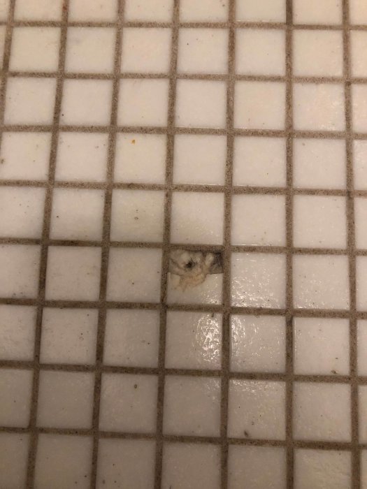 En skadad klinkerplatta på ett badrumsgolv med saknad bit och synligt underlag.