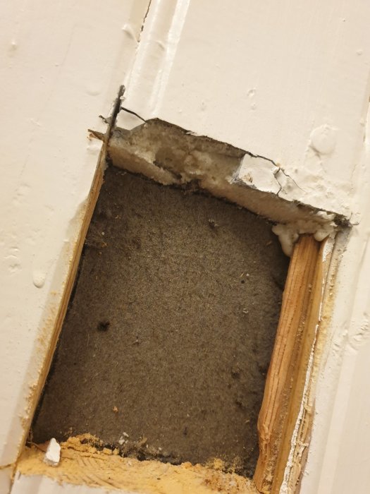 Öppnad vägg avslöjar spår av skadedjur, gångar i isoleringen mellan trä och betong.