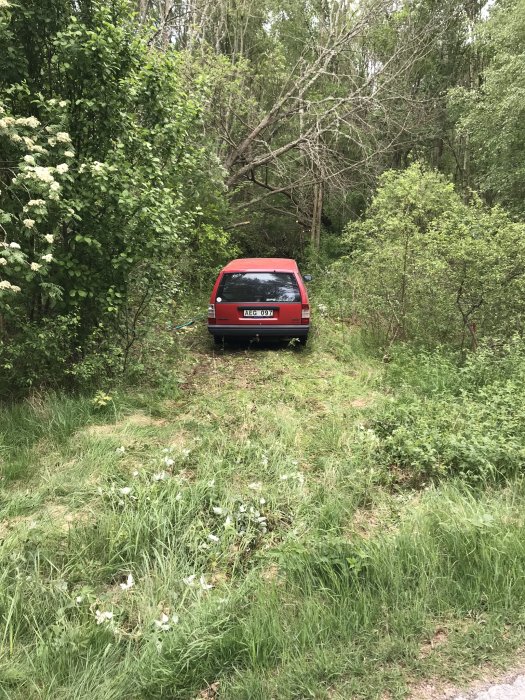 Röd bil parkerad på provisorisk infart omgiven av grönska och skog.