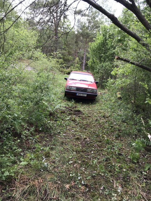 Röd bil parkerad i en skoglig miljö på en provisorisk väg omgiven av grönska och träd.