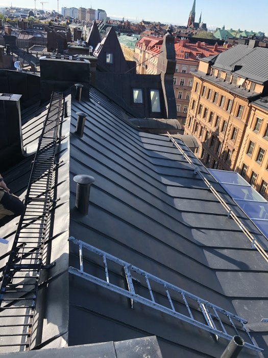 Plåttak på stadshus med ventilationshuvar och en brandstege, takfönster synligt.