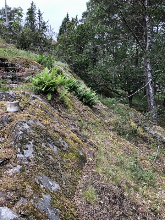 Befintlig slingrande trappa av natursten på en brant, mossbeklädd bergssida med omgivande grönska.