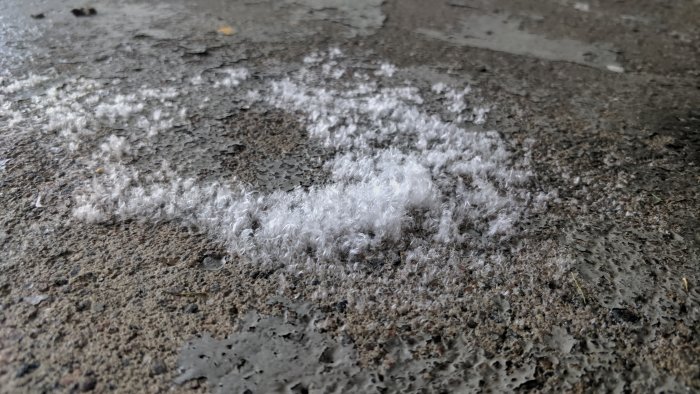 Vitt bomullsmjukt ämne på garagegolv som löser sig i vatten och misstänks inte vara mögel.