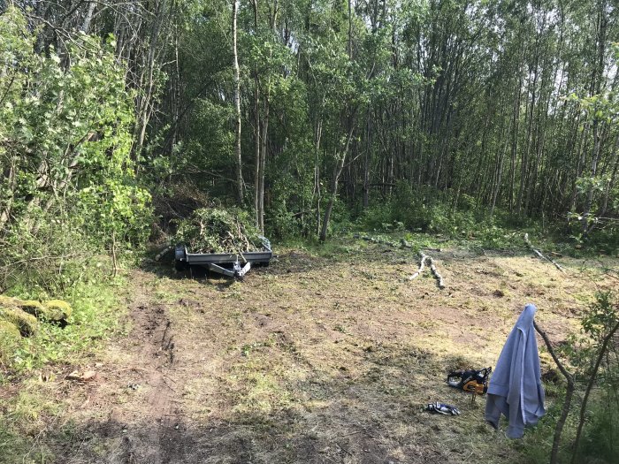 Trädgård efter trädfällning med nedfallna grenar, en släpkärra full med kvistar och motorsågsutrustning på marken.