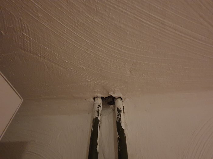 20191024_230058.jpg