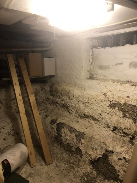 Gammal källare med murad vägg och synligt stenmaterial under, träreglar och fuktfläckar.