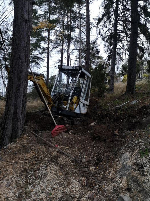 Grävmaskin halvt nedsänkt i ett stort hål efter borttagning av en stor granstubbe, omgiven av skog.