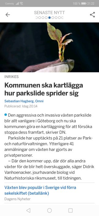 Skärmdump av en artikel om kartläggning av spridningen av invasiva parkslideväxter i Göteborg.