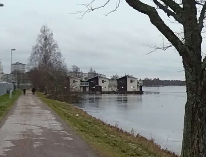 Hus på pontonbryggor vid vatten, Orrholmen Karlstad, med gångväg och träd i förgrunden.