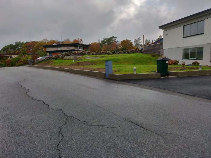 En gatumiljö med gräsmatta intill en trottoarkant, lämplig för en lågväxande häck som bloombux.