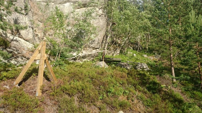 En skogstomt med en hembyggd linbana av trä, vajrar och stödpelare bland träd och klippor.