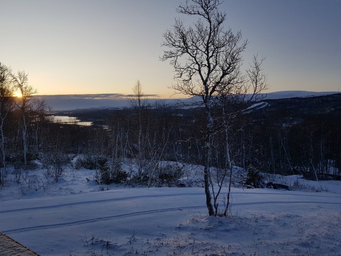 Vinterlandskap vid solnedgång med snötäckt mark och träd, lämpligt för pulkaåkning.