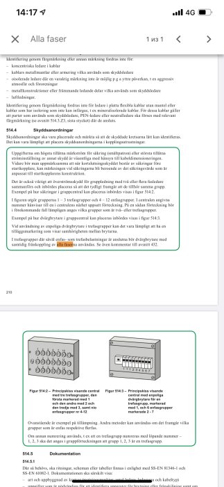 Skärmdump av en handbok med text och diagram som visar kopplingsscheman för elförsörjning.