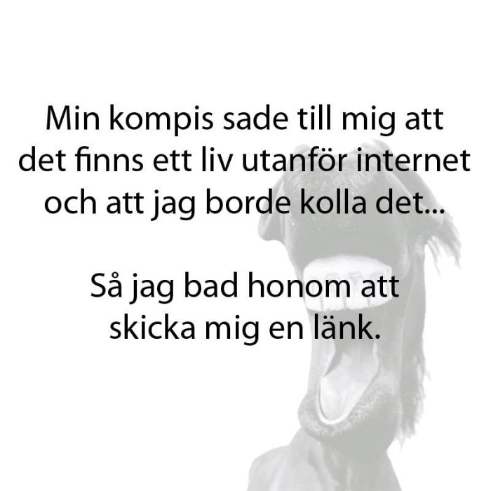 Meme med text om att be om en länk för att upptäcka livet utanför internet.